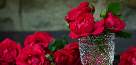 Le Bal de la Rose 2024 Disco Evening in Monaco