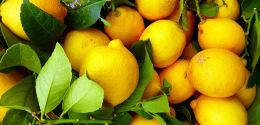 Mentons Lemon Festival 2024